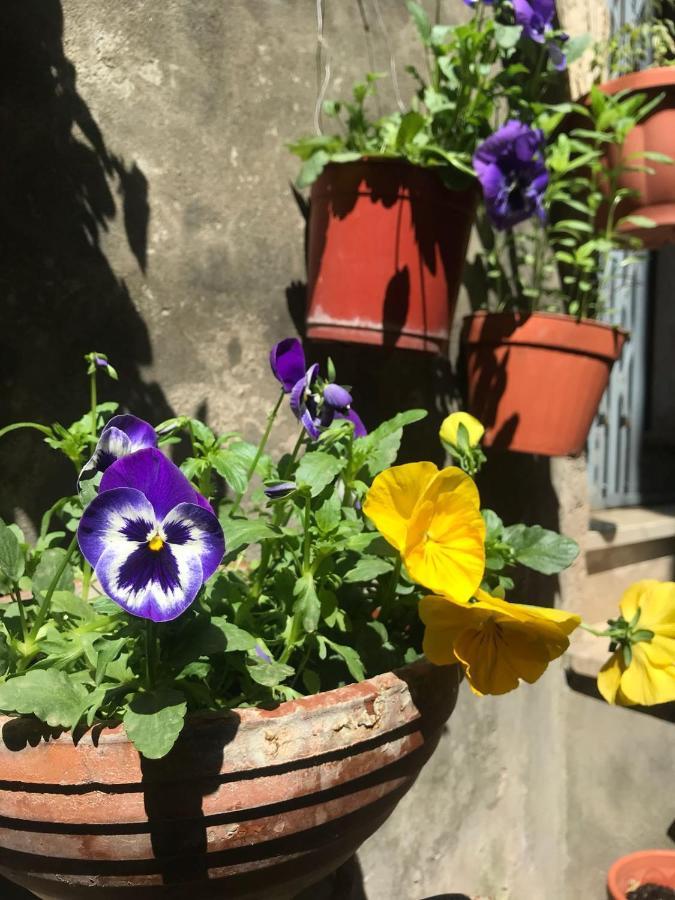 Centro Storico Bed & Breakfast Anagni Exterior photo