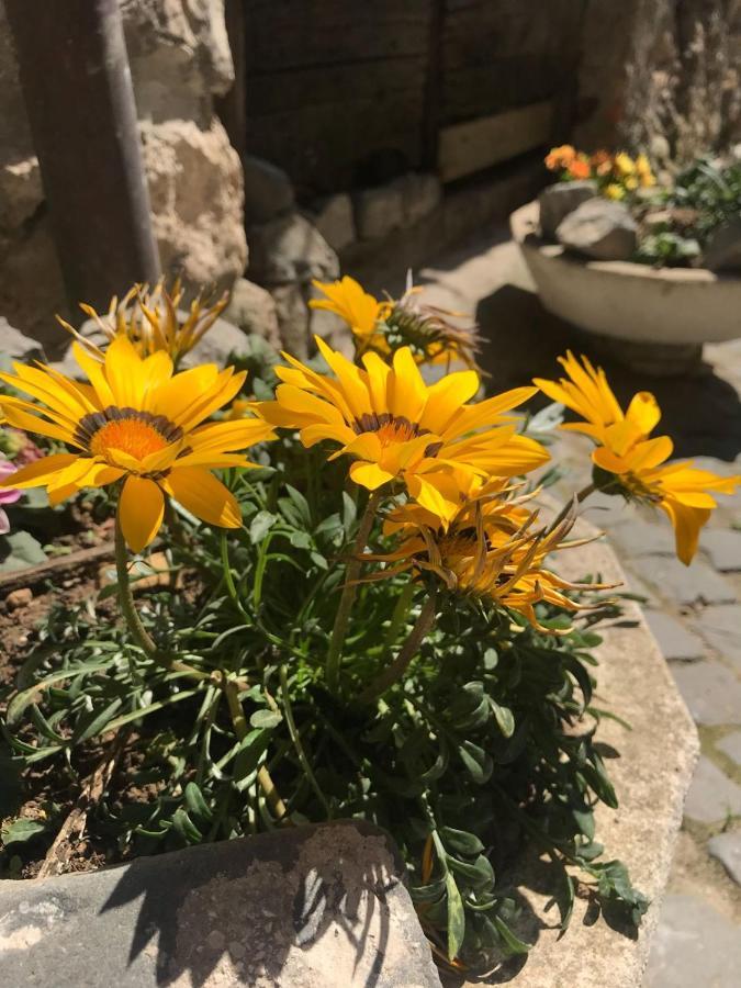 Centro Storico Bed & Breakfast Anagni Exterior photo