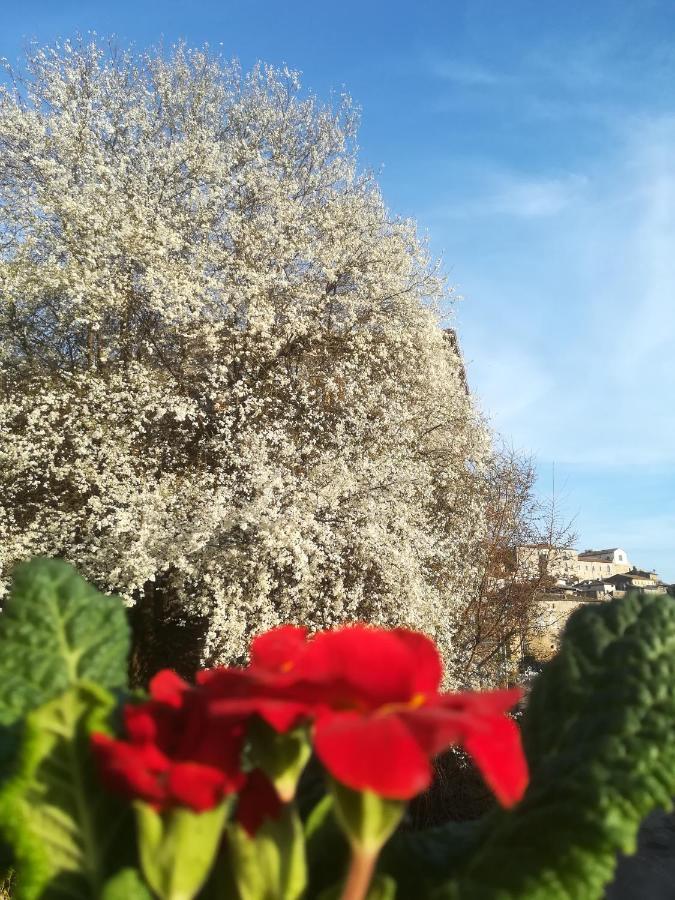 Centro Storico Bed & Breakfast Anagni Exterior photo